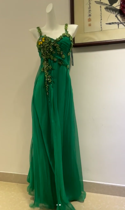 Niulatu Green Sheath Formal Dress Beaded Applique Tulle Long Prom Dresses Classy Pleated Evening Dress HZ1031