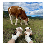 Niulatu Cotton Warm Home Slippers Women's Winter Anti-Skid Thick Bottom Plush Indoor Household Shoes Lovely Cow Animal Slipper DJSE