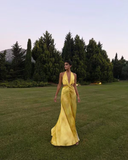 Niulatu A line Halter Neckline Long Yellow Prom Dress Evening Dress Formal Dress SD2161