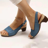 Niulatu Women Sandals 2025 New Summer Sandals Elegant Chunky Heels Sandals Shoes Women Lightweight Women Heels Platform Sandalias Mujer DJSE