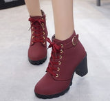 Niulatu Women's Heeled Ankle Boots Ladies Autumn Winter Women Shoes High Heels 8.5cm Female Boot Botas De Mujer Plus Size 41 42 DJSE