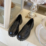 Niulatu Toe Street Style Chunky Heel Platform Women Loafers Shoes Black Punk Y2K Designer High Heel Women Pumps 1116 DJSE