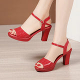 Niulatu Sexy Peep Toe Ladies Summer Shoes For Dress Women Wedge Heel Sandals High Heel Woman 2025 New Female Platform Sandals DJSE