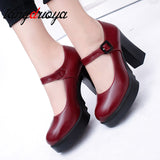 Niulatu Women's shoes on Heels Women Platform Pumps Spring Summer Shallow Mouth Buckle Strap Shoes Round Toe Shoes for Women high heels DJSE