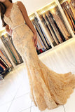 Niulatu Sleeveless Mermaid Evening Dress Lace HZ1007