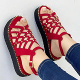 Niulatu 2025 New Shoes Pointed Toe Buckle Strap Women Sandals Ladies Sexy Slip On Thick Bottom Hollow Out Shoes Woman Footwear DJSE