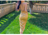 Niulatu Halter V Neck Party Dress Champagne Gold Prom Evening Dress HZ1007