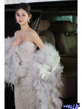 Niulatu Mermaid Sweetheart Neckline Silver Sequin Evening Dress Long Prom Dresses HZ1110