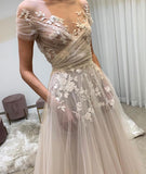 Niulatu champagne tulle lace long prom dress, lace evening dress HZ0113
