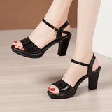 Niulatu Sexy Peep Toe Ladies Summer Shoes For Dress Women Wedge Heel Sandals High Heel Woman 2025 New Female Platform Sandals DJSE