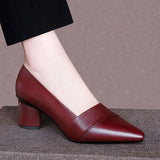 Niulatu Thick Heel Shoes Soft Leather Shallow Mouth Pointed High Heel Retro Ethnic Style High-end Elegant Women's Shoes DJSE