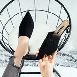 Niulatu Breathable High heels Mules slippers women 2025 summer shoes women Pointed Toe Thin Heels Fashion Party ladies shoes DJSE