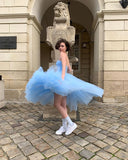 Niulatu Blue A Line Strapless Tulle Prom Dress Wedding Guest Dress Birthday Dress HZ0113