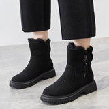 Niulatu Women Winter 2025 New Plus Velvet Woman Shoes Warm Boots Thick Cotton Shoes Furry Black Women Boots Botas De Mujer DJSE