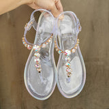 Niulatu Summer Beach Shoes Designer Women Sandals Flat Woman Shoes Clear Jelly Shoes Diamond Transparent Outdoor Ladies Sandals DJSE