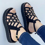 Niulatu 2025 New Shoes Pointed Toe Buckle Strap Women Sandals Ladies Sexy Slip On Thick Bottom Hollow Out Shoes Woman Footwear DJSE
