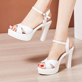 Niulatu High Heels Ladies Summer Dress Shoes For Women 2025 Female Patent Leather Platform Wedge Heel Elegant Sandal DJSE