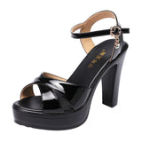 Niulatu High Heels Ladies Summer Dress Shoes For Women 2025 Female Patent Leather Platform Wedge Heel Elegant Sandal DJSE
