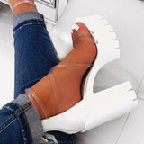 Niulatu Club Party Platform Chunky Heel Sandals Summer Plus Size Shoes Transparent Gladiator Heel Sandals Shoes Women DJSE