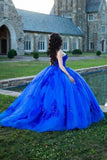 Niulatu Sweetheart Princess Sequins Applique Quinceanera HZ1007