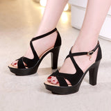 Niulatu 32-43 Block High Heels Gladiator Sandals Women Shoes Suede 2025 Summer Sexy Platform Shoes for Office Dance Model DJSE