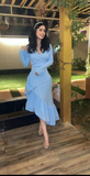 Niulatu Blue V Neck Mermaid Prom Dress Formal Evening Gown HZ1007