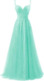 Niulatu Applique Tulle Prom Dresses for Women 2025 Spaghetti Straps Ball Gown Formal Evening Party Gown with HZ1007