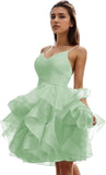 Niulatu Women's Puffy Ruffle Short Homecoming Dress Tull Tutu Prom Dress V Neck Formal Party HZ1007