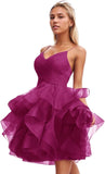 Niulatu Women's Puffy Ruffle Short Homecoming Dress Tull Tutu Prom Dress V Neck Formal Party HZ1007