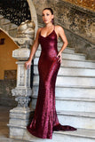 Niulatu Ruby V-Neck Sequin Evening HZ1007