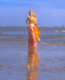 Niulatu A Line Straps Beaded Orange Tulle Prom Dress Graduation Prom Dress HZ0113