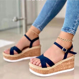 Niulatu Wedge Sandals for Women Summer Casual Non-slip Peep Toe Platform Shoes Rubber Sole Buckle Elegant Heels Women Shoes DJSE