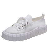 Niulatu Women's Stylish Sneakers 2025 Spring New Stretch Fabric Ladies Lace Up Casual Shoes 36-43 Large-Sized Female Comfy Flats DJSE