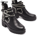 Niulatu Women's Autumn Boots 2025 Platform Boots Gothic Women Punk Shoes Women Trendy Black Rivet Ankle Boots Size 43 Botas De Mujer DJSE