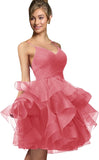 Niulatu Women's Puffy Ruffle Short Homecoming Dress Tull Tutu Prom Dress V Neck Formal Party HZ1007