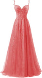 Niulatu Applique Tulle Prom Dresses for Women 2025 Spaghetti Straps Ball Gown Formal Evening Party Gown with HZ1007
