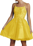 Niulatu Lace Beaded Tulle Homecoming Dresses Short Square Neck Prom Dress Spaghetti Straps Party HZ1007