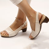 Niulatu Women's Gladiator Sandals Buckle Strap Woman Chunky Heels Peep Toe Ladies Casual Shoes Female Summer Autumn Fashion Sandals 2025 DJSE