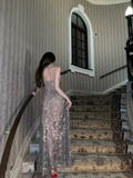 Niulatu Spaghetti Straps V Neck Evening Dress Charming A-line Prom Dress HZ1007