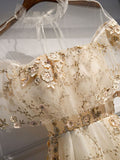 Niulatu tulle lace long prom dress champagne formal dress HZ1110