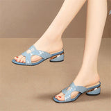 Niulatu Women's Slippers Women Shoes 2025 Summer Peep Toe Sandals Fashion Pumps Ladies Dress Wedding High Heels Shoes Female Slides DJSE