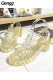 Niulatu Women's Jelly Sandals Woman Summer Hollow Out Shoes Women Buckle Mid Heels Ladies Footwear Female Outside Beach Slides DJSE