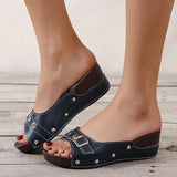 Niulatu Sandals Women's 2025 Summer New Metal Buckle Willow Nails Fish Mouth Roman Outdoor Beach Comfortable Shoes DJSE
