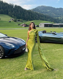 Niulatu Green Backless Party Dress Sexy Long Prom Dress Evening Gown HZ1007