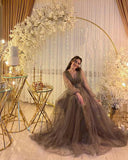 Niulatu V-neck Tulle Illusion Evening Dress Sheer Long Sleeves Evening Gown HZ1007