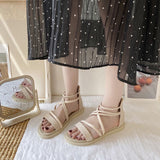 Niulatu Summer Dress Shoe for Women Fashion Designer Sandals Fairy Style Ins Platform DJSE