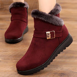 Niulatu Women 2025 Thick Plush Warm Snow Boots Women Zipper Comfortable Outdoor Ankle Boots Casual Cotton Shoes DJSE