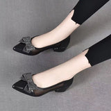Niulatu Asakuchi Women Shoes Women's High Heels Mesh Breathable Casual Women Shoes Square Heel Pointed Toe Heels Women DJSE