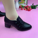 Niulatu Chelsea High Boots Women 2025 New Winter High Heels Shoes Women Fashion Sexy Warm Ankle Boots Designer Pumps Shoes DJSE