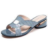 Niulatu Women's Slippers Women Shoes 2025 Summer Peep Toe Sandals Fashion Pumps Ladies Dress Wedding High Heels Shoes Female Slides DJSE